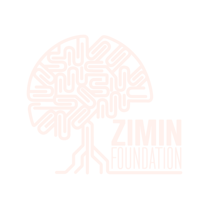 Zimin foundation